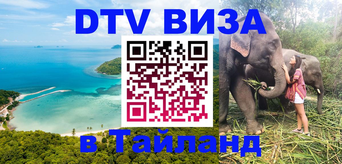 DTV Виза в Тайланд для россиян Волжский 